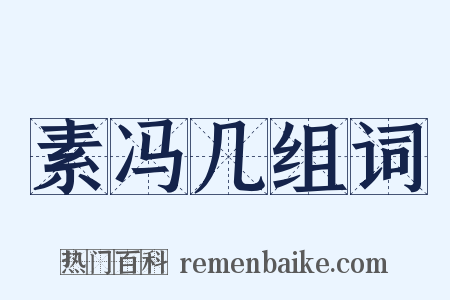 素冯几组词是什么意思的图片